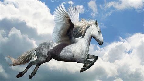 The secret of the flying horse 